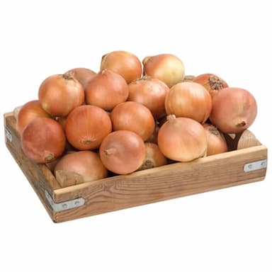 بصل يابس - 1.9 usd