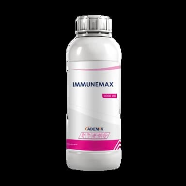 IMMUNEMAX -  usd