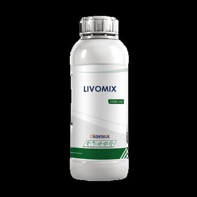 LIVOMIX -  usd