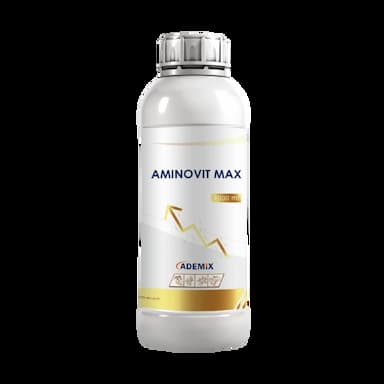 AMINOVIT MAX -  usd
