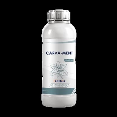 CARVA MENT -  usd