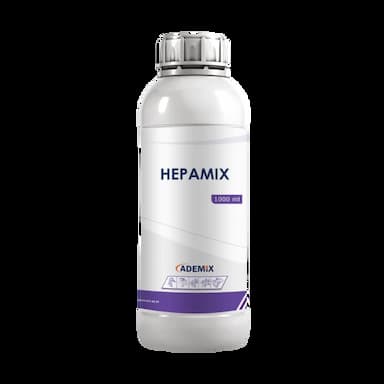 HEPAMIX -  usd