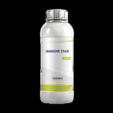 IMMUNE STAR -  usd