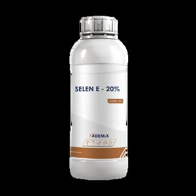 SELEN E - 20% -  usd