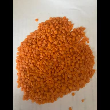 العدس الأحمر - 0.01 usd