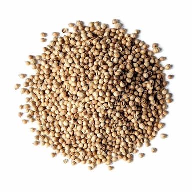 بذور الكزبرة الحب (كاملة) -  usd